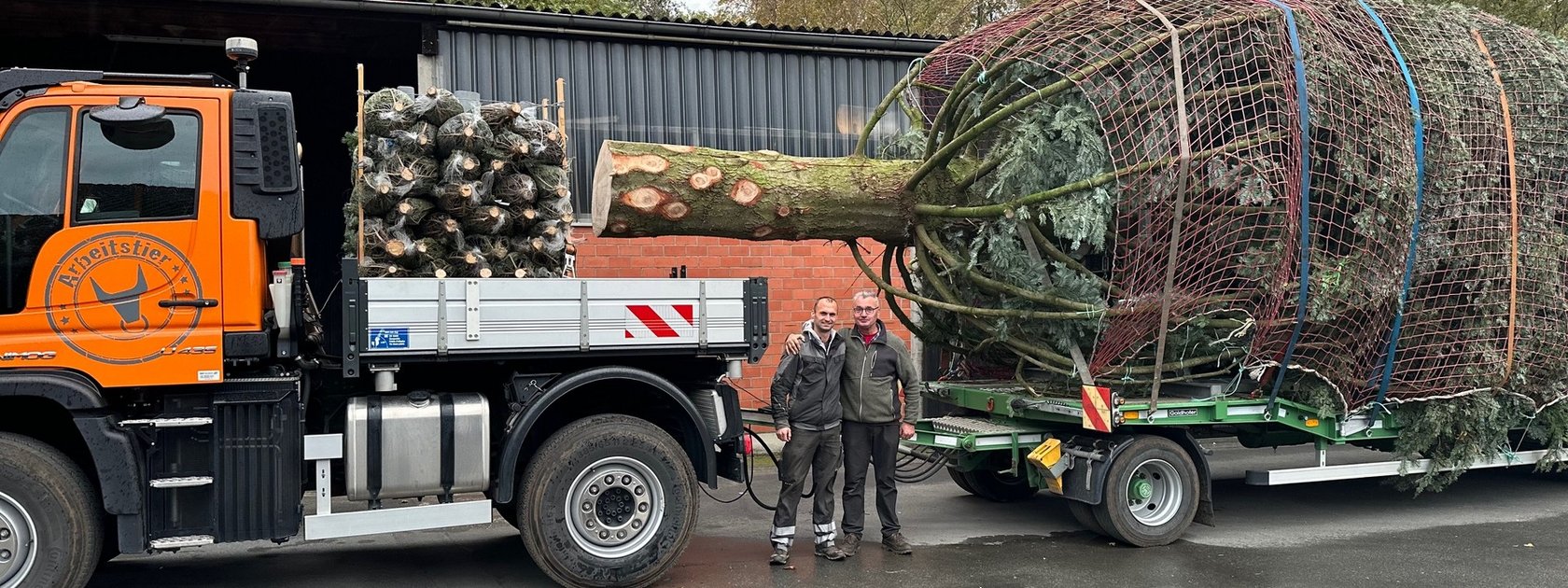 Festlicher Transport Unimog bringt Weihnachtsbaum von Paderborn nach